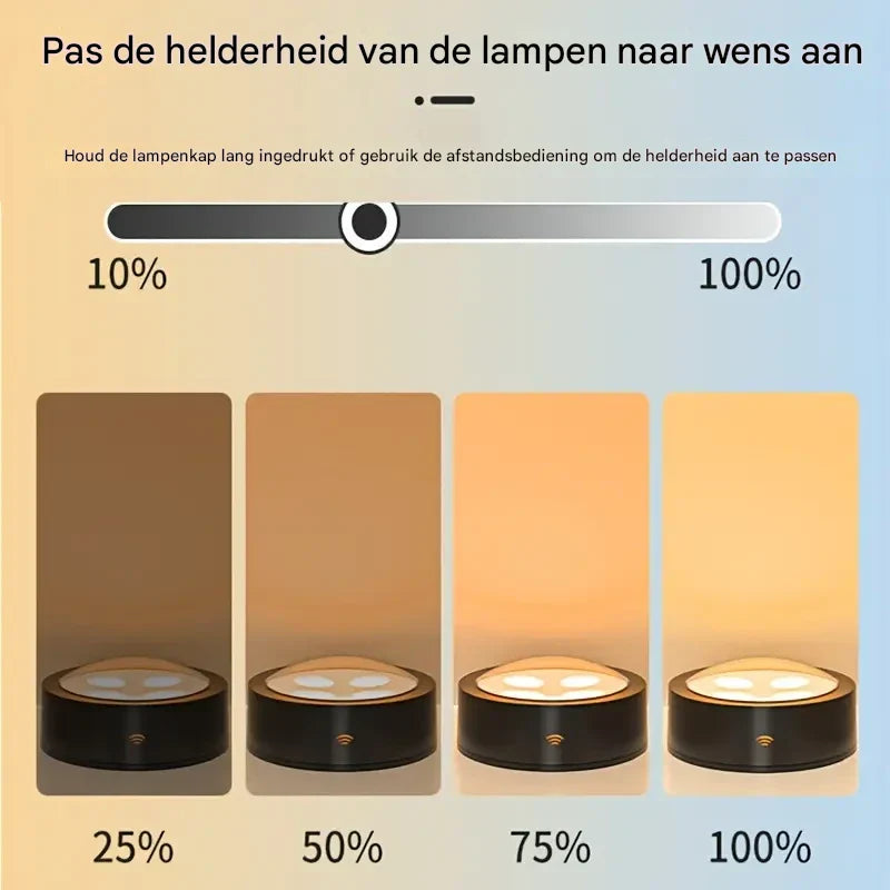 FrameLight | Laat je kunst tot leven komen | 1+2 gratis