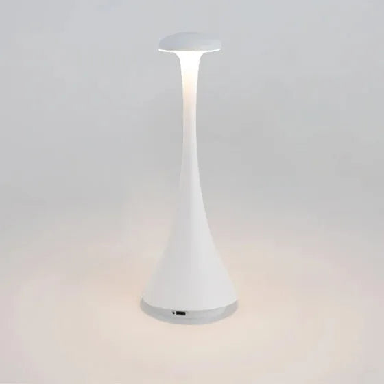 Rechargeable Mushroom Touch Table Lamp usb